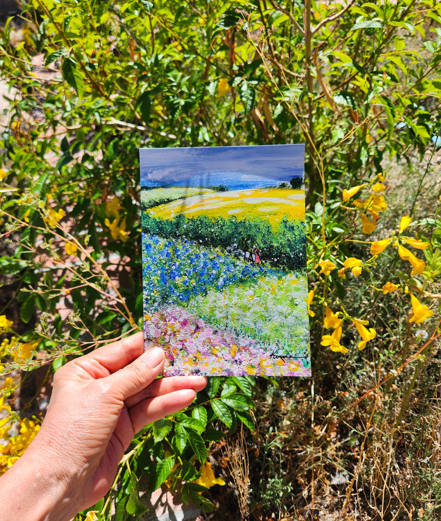 Flower Field, That's Where I am At No.4